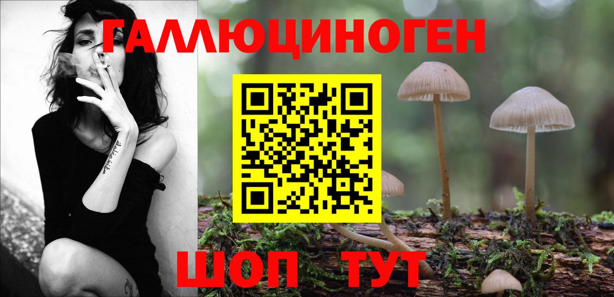 Псилоцибиновые грибы Magic Shrooms Грязи